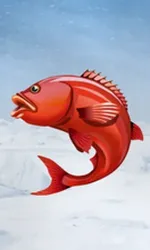 Ice Fishing